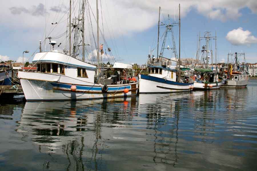 Lubricantes marinos para barcos de pesca